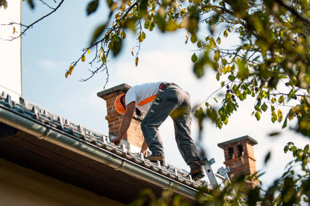 Best Local Roofing Companies  in Asheville, NC