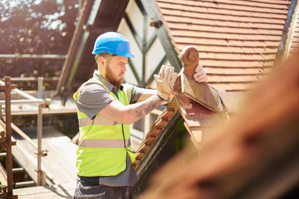 Best Metal Roofing Contractor  in Asheville, NC