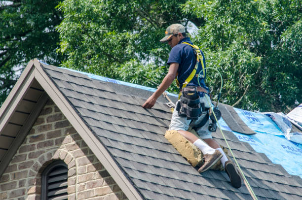 Best Affordable Roofing Company  in Asheville, NC