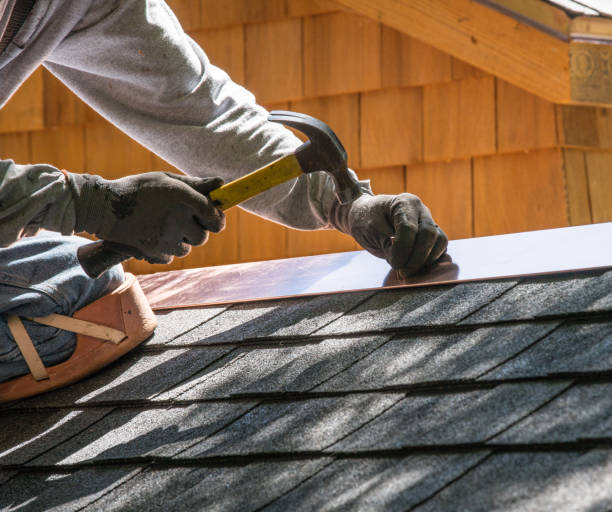 Best Roof Gutter Cleaning  in Asheville, NC